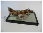 Member Gallery 1 - Scale Modelers World