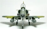 Member Gallery 100 - Scale Modelers World